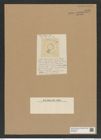 Coscinodiscus liocnetrum Ehr. (de-Toni-Nr.: Genus 202, Species 5006) Zeichnungen Sammlung Grunow Nr. 8721 (NHMW-BOT-W0378296)